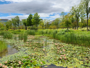 7월 후원사진.jpg