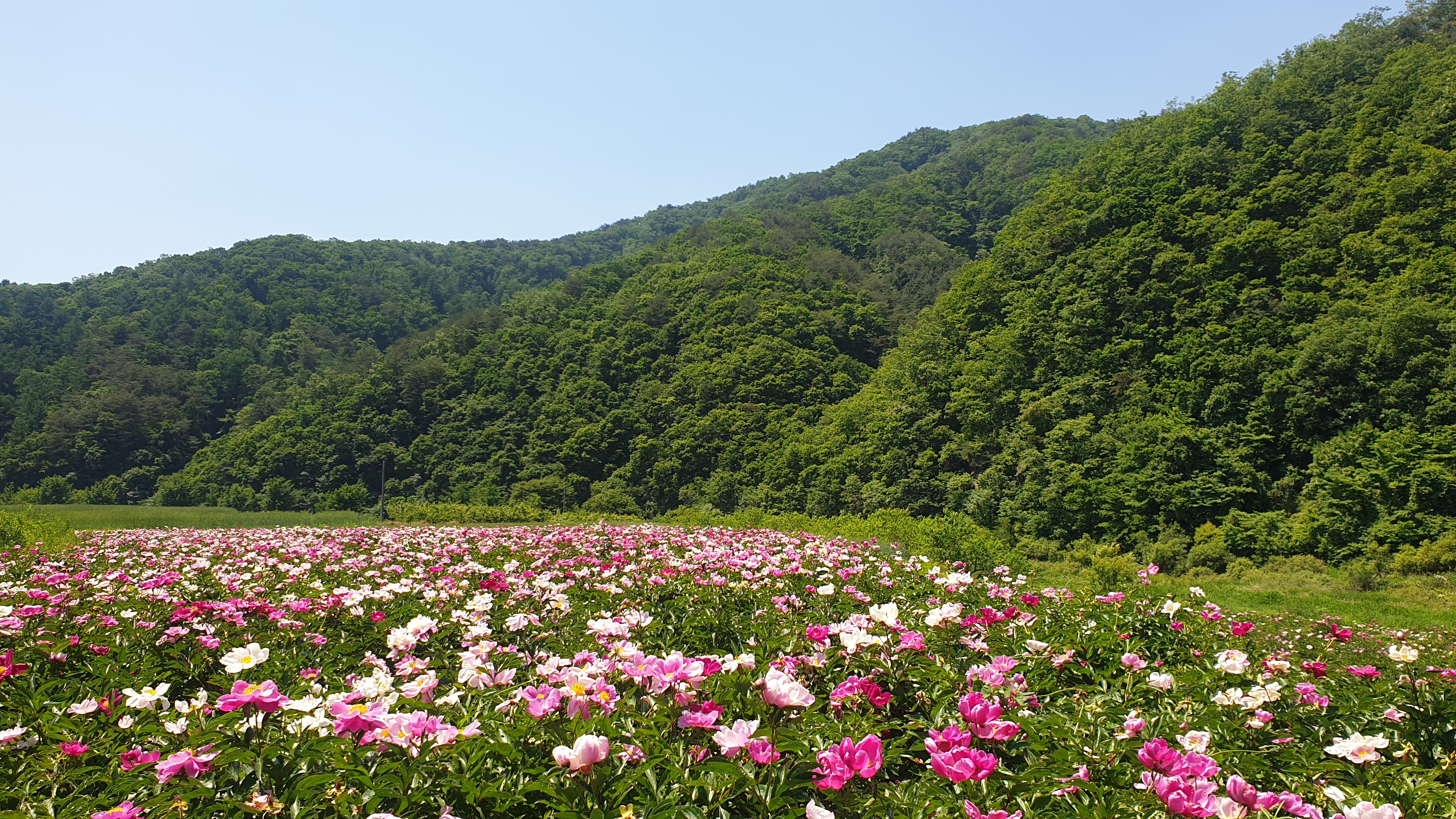 사진.jpg