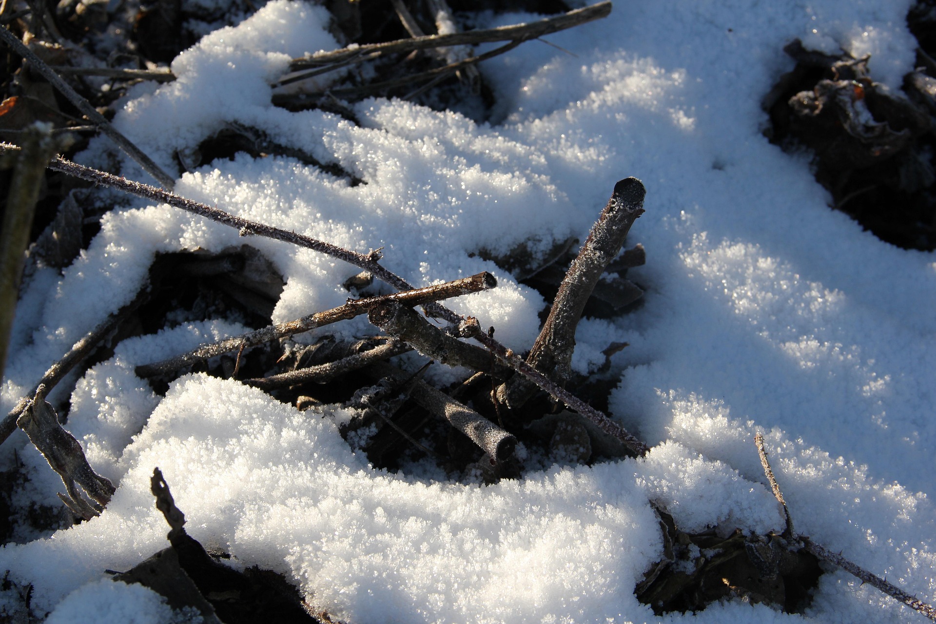 utekuehne-snow-2891458_1920.jpg