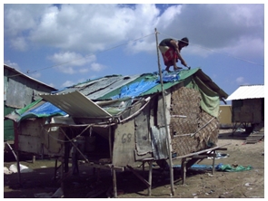 100810 roof1_00001.jpg