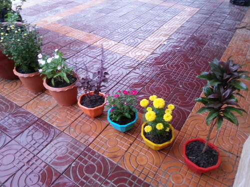 꾸미기20130114_173338.jpg